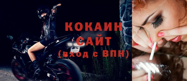 крисы Дмитров