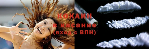крисы Дмитров