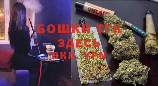 крисы Дмитров