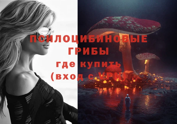 крисы Дмитров