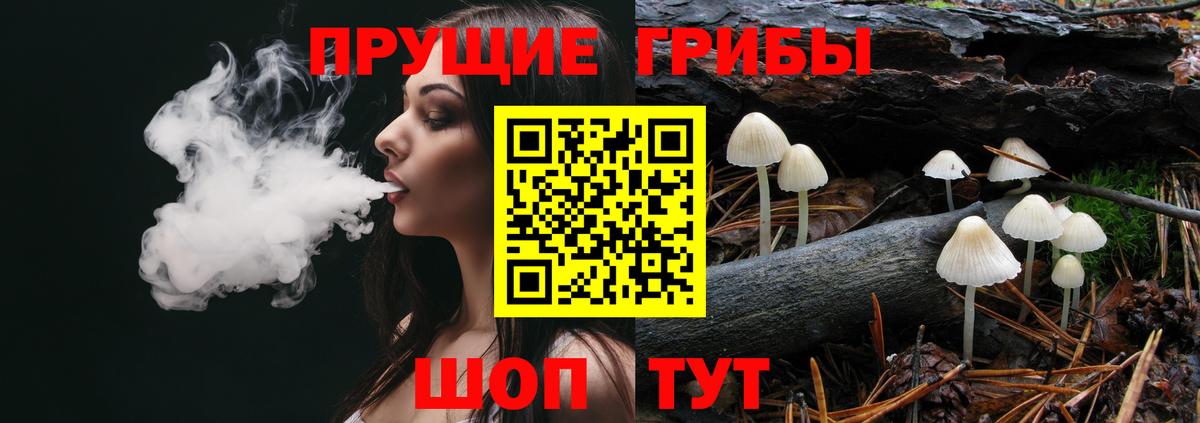 Ирбит  Галлюциногенные грибы Psilocybine cubensis  Галлюциногенные грибы Magic Shrooms  цены   Вход с VPN 